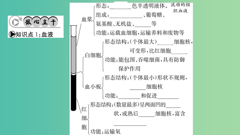 中考生物 知识系统复习 第四单元 第四章 人体内物质的运输课件.ppt_第2页