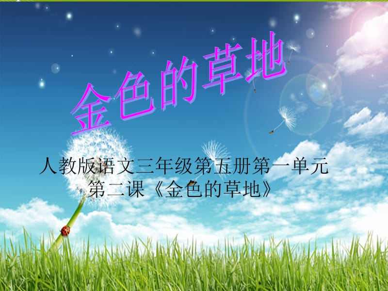 《金色的草地教学》PPT课件.ppt_第1页