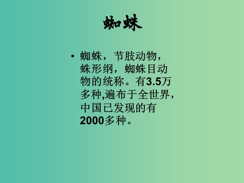 七年级语文下册 第四单元 14《蜘蛛》教学课件 语文版.ppt_第2页