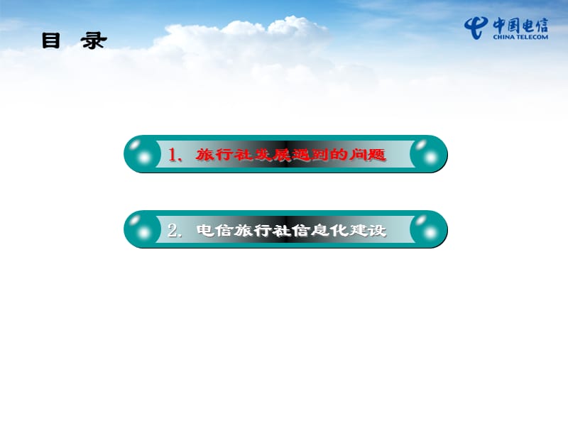 旅行社信息化解决方案.ppt_第2页