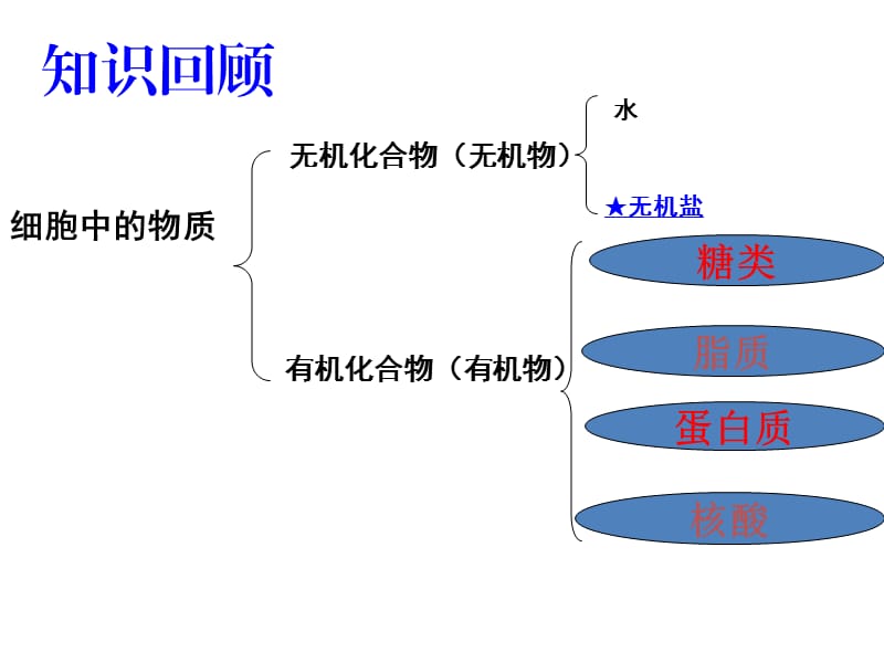 有机化合物与生物大分子.ppt_第1页