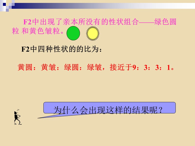 孟德尔的豌豆杂交实验(二).ppt_第3页