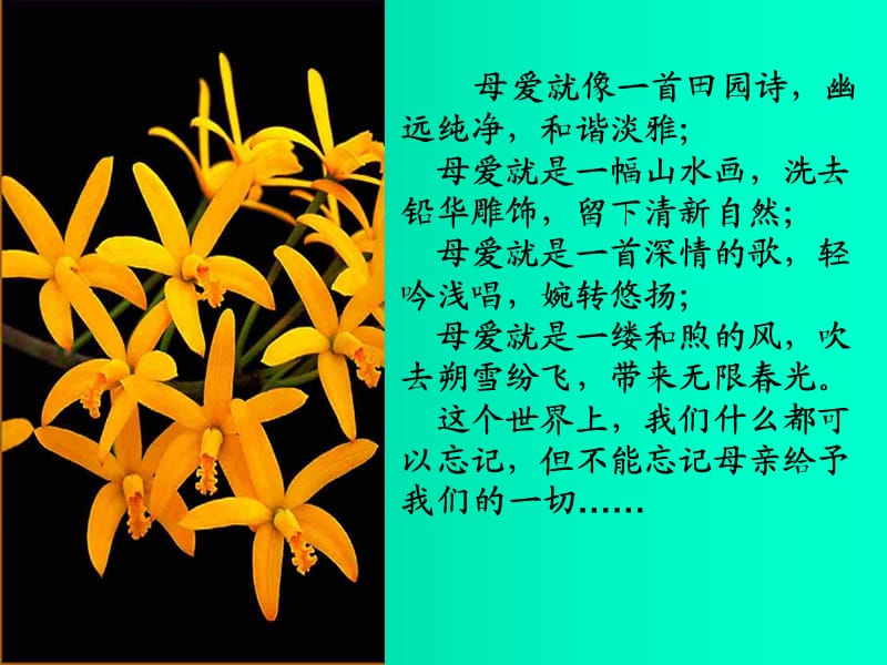 语文七年级上册《金色花》优秀.ppt_第2页