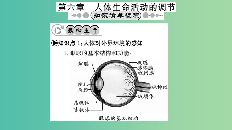 中考生物 知识系统复习 第四单元 第六章 人体生命活动的调节课件.ppt_第1页