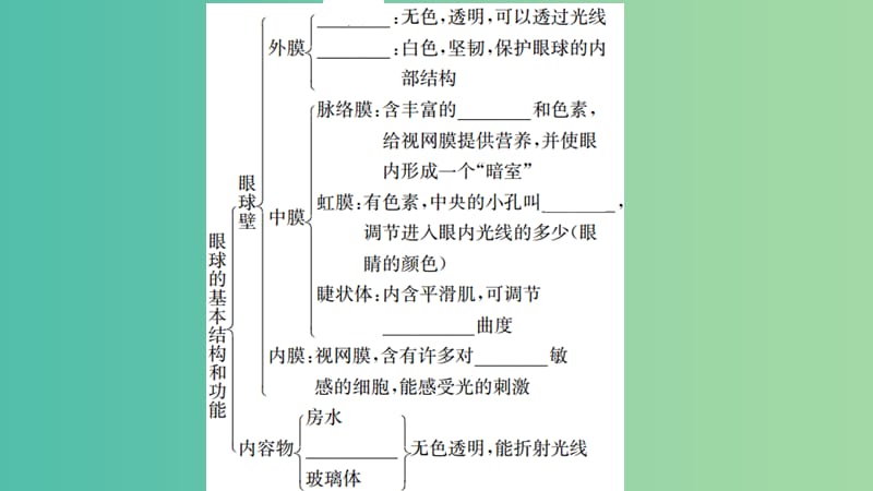 中考生物 知识系统复习 第四单元 第六章 人体生命活动的调节课件.ppt_第2页