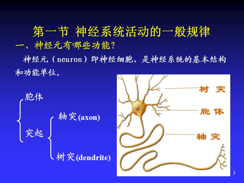 神经系统生理学ppt课件_第3页