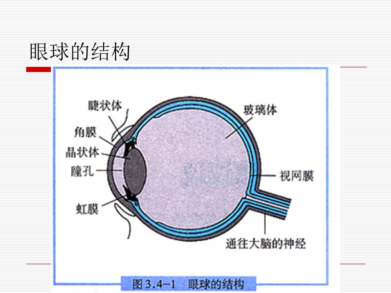 爱护眼睛_预防近视_第2页