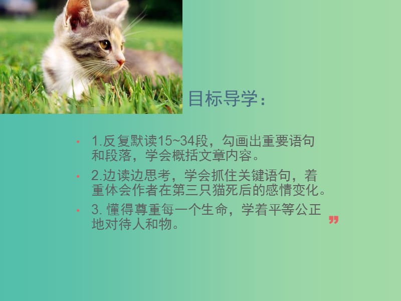 七年级语文上册 17《猫》课件 新人教版.ppt_第2页