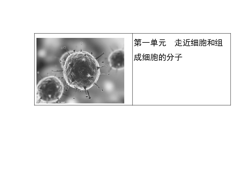 走近细胞和组成细胞的分子.ppt_第1页