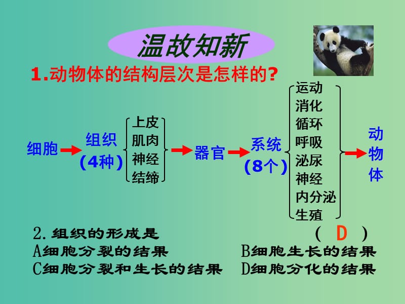 七年级生物上册 2.2.3 植物体的结构层次课件 （新版）新人教版.ppt_第2页