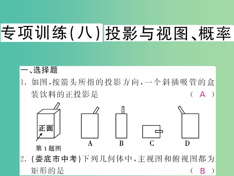 九年级数学下册 专项训练（八）投影与视图、概率课件 （新版）湘教版.ppt_第1页