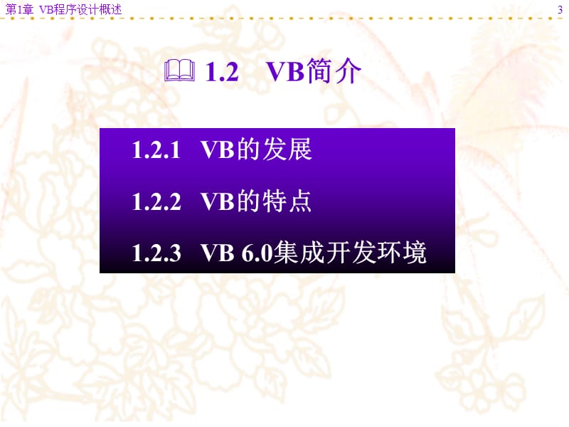 《vb程序设计概述》PPT课件.ppt_第3页