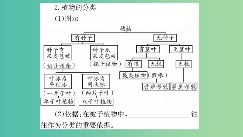 中考生物 知识系统复习 第六单元 生物的多样性及其保护课件.ppt_第2页