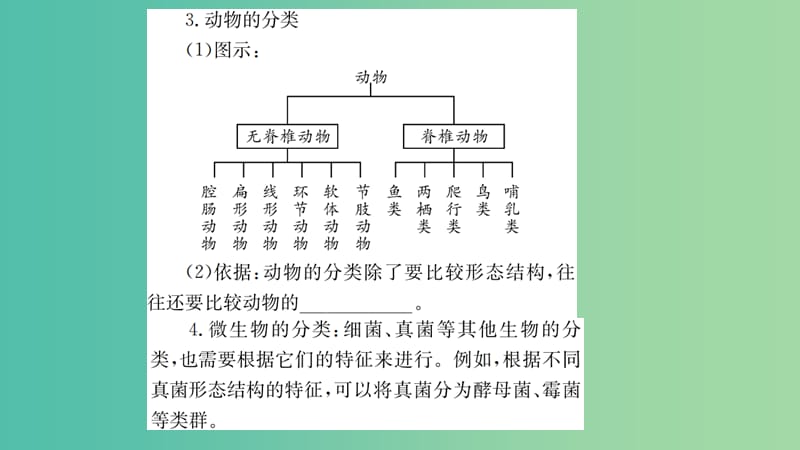 中考生物 知识系统复习 第六单元 生物的多样性及其保护课件.ppt_第3页