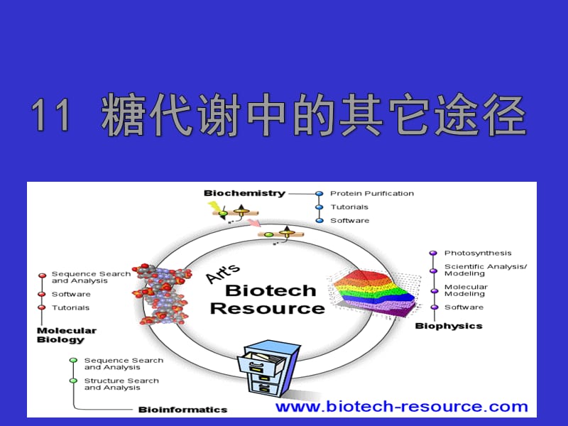 糖代谢中的其它途径.ppt_第1页