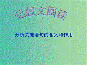 中考語文試題研究 詞句含義理解課件.ppt