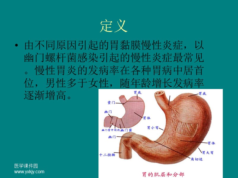 慢性胃炎患者的护理内容PPTppt课件_第3页