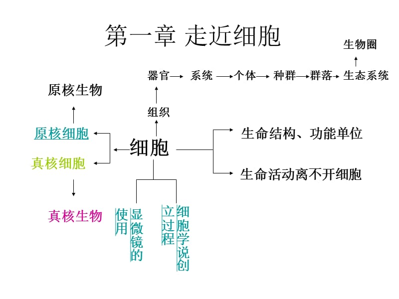 生物必修一第一至四章复习.ppt_第1页