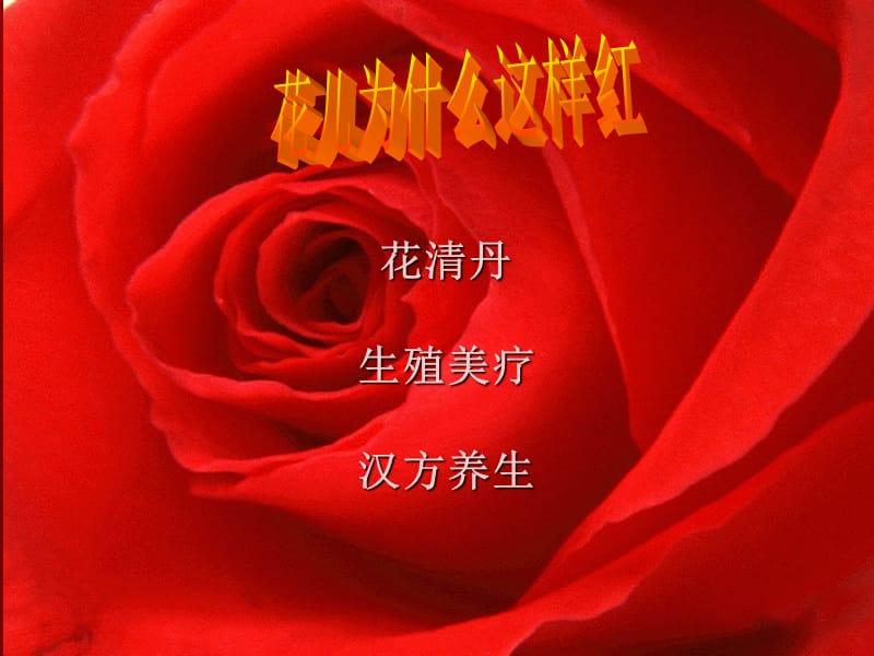 隆力奇花清丹-花青丹具体使用方法和注意事项.ppt_第1页