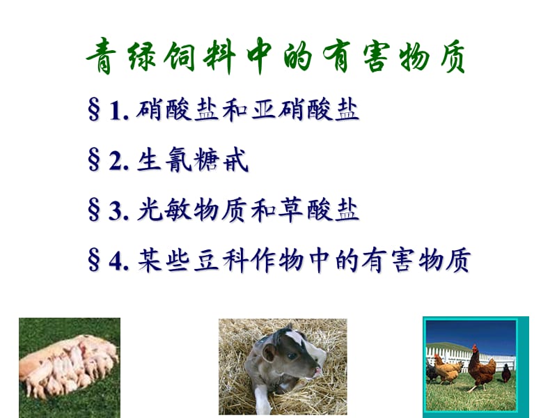 青绿饲料中的有害物质.ppt_第1页