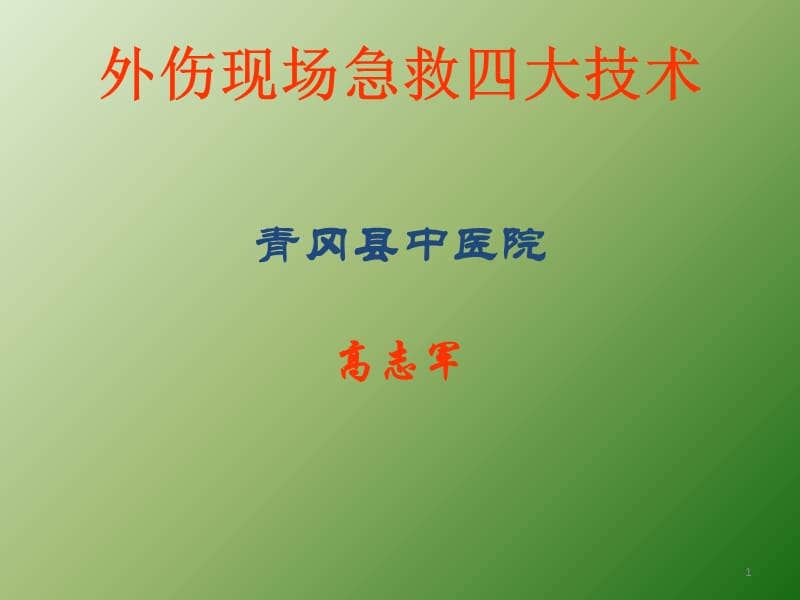 现场外伤急救四大技术ppt课件_第1页