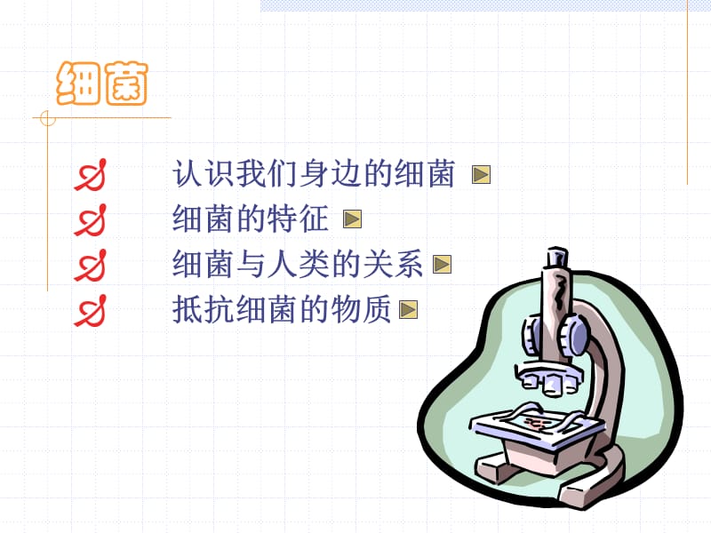 原核细胞的代表-细菌.ppt_第2页