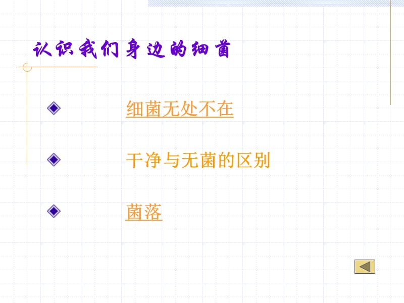 原核细胞的代表-细菌.ppt_第3页