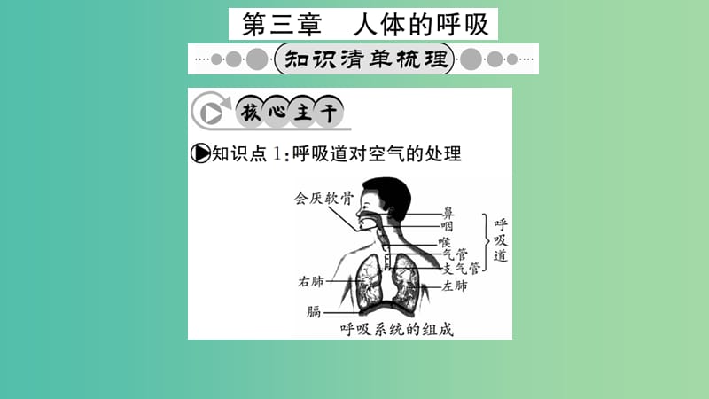 中考生物 知识系统复习 第四单元 第三章 人体的呼吸课件.ppt_第1页