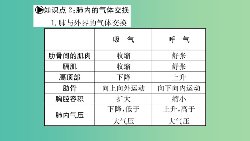 中考生物 知识系统复习 第四单元 第三章 人体的呼吸课件.ppt_第3页