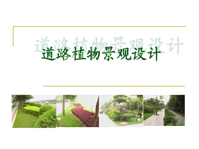 6道路植物景观设计.ppt_第1页