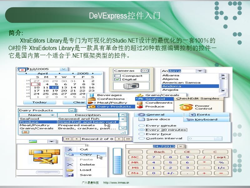 DevExpress入门教程.ppt_第1页