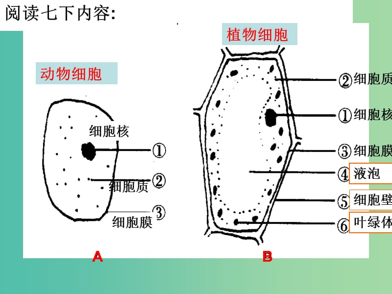 中考生物8环境中生物的统一性复习课件.ppt_第3页