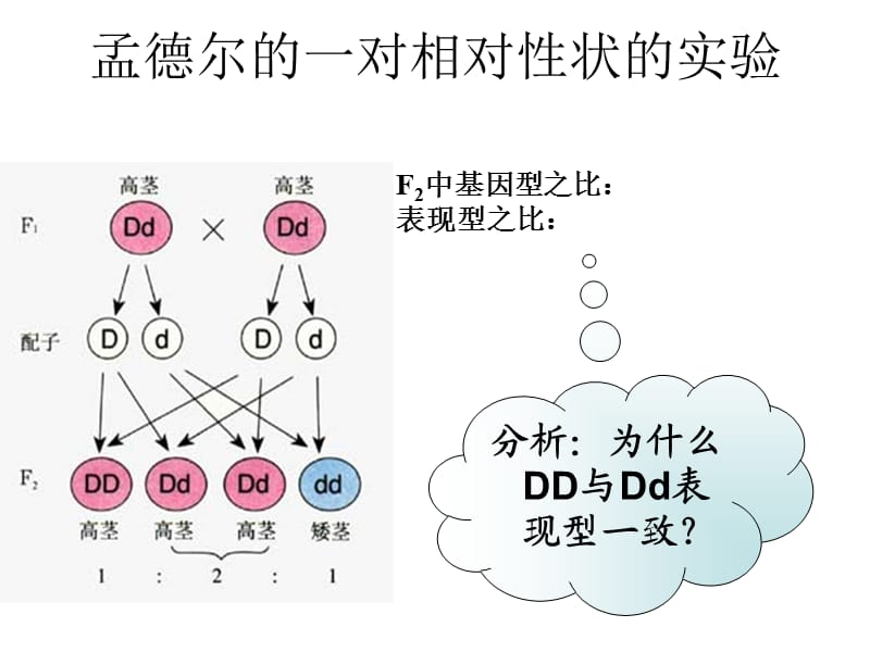 孟德尔遗传定律的补充.ppt_第2页