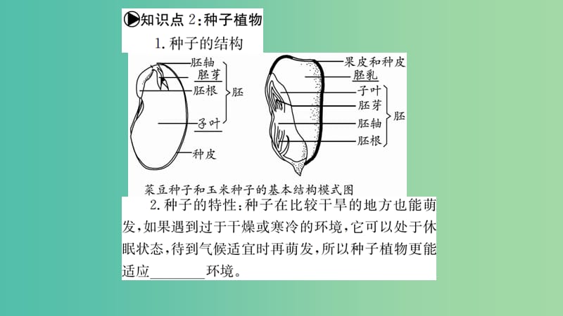 中考生物 知识系统复习 第三单元 第1-2章课件.ppt_第3页