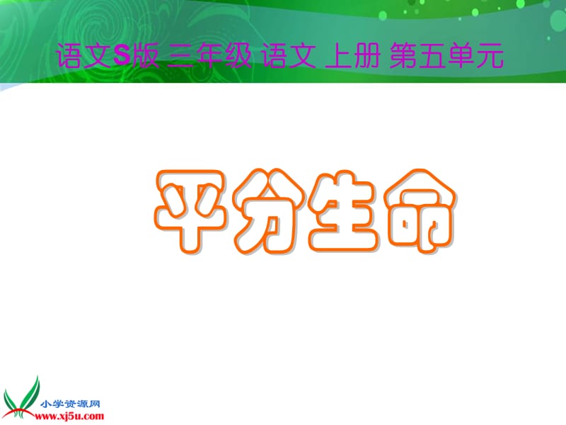 语文S版三年级语文上册课件平分生命.ppt_第1页