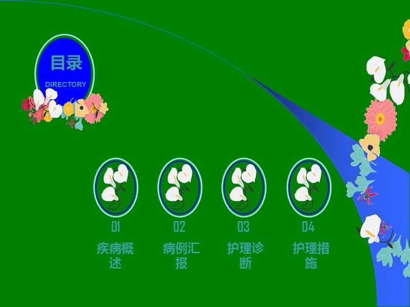 胰腺炎护理查房ppt课件_第2页