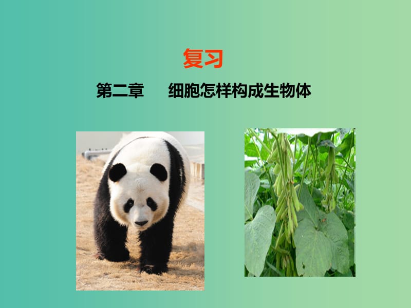 七年级生物上册 2.2 细胞怎样构成生物体复习课件 （新版）新人教版.ppt_第1页