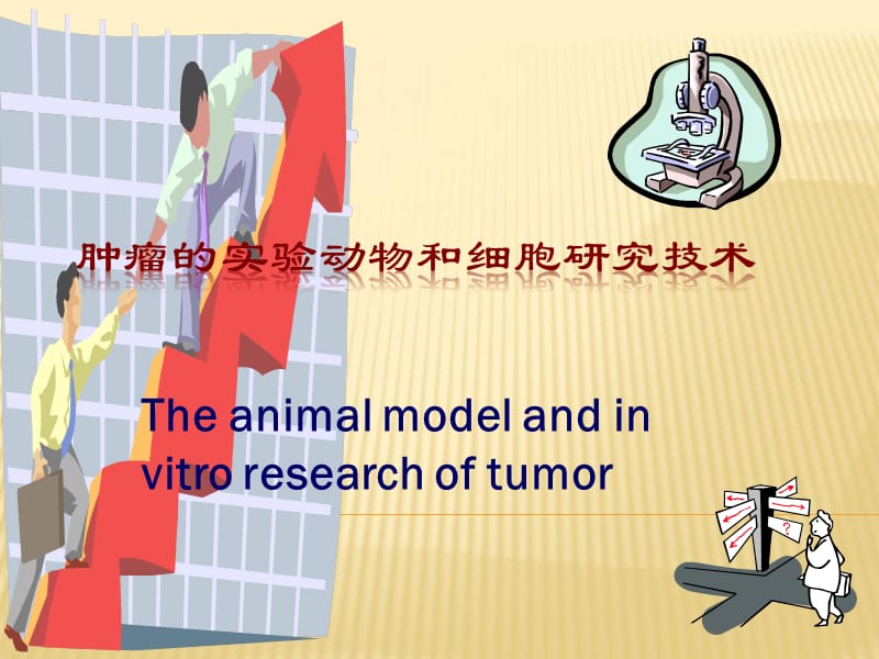 肿瘤研究方法ppt课件_第2页