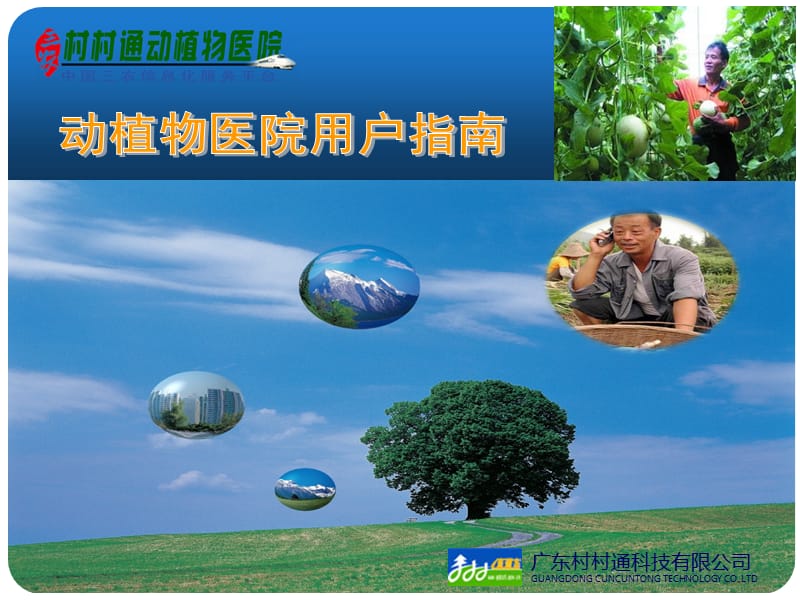 动植物医院用户指南.ppt_第1页