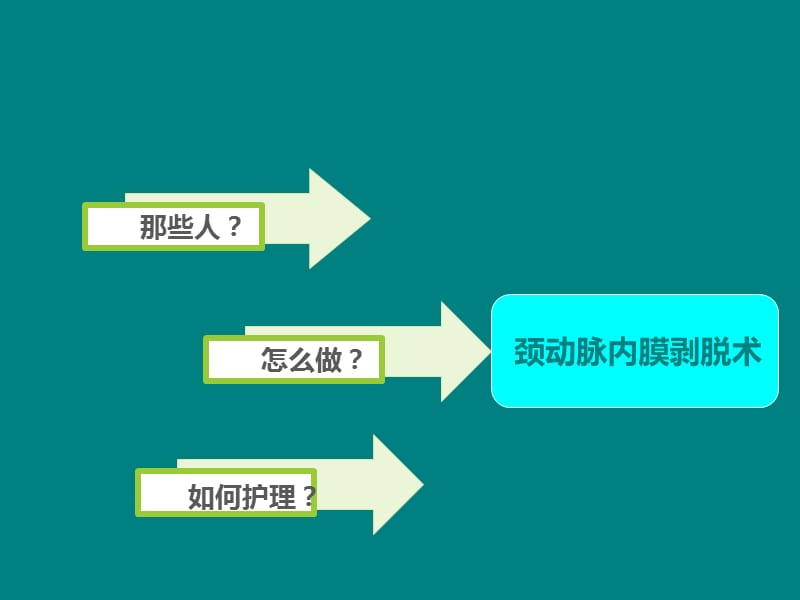 颈动脉内膜剥脱术护理ppt课件_第2页