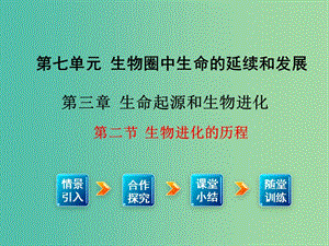 八年級(jí)生物下冊(cè) 第7單元 第3章 第2節(jié) 生物進(jìn)化的歷程課件 （新版）新人教版.ppt