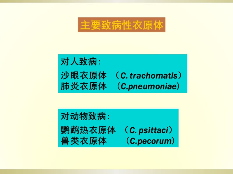 [医学微生物学]衣原体 螺旋体_第3页