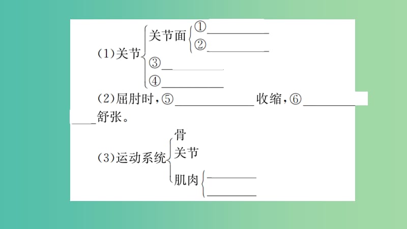 中考生物 知识系统复习 第五单元 第2-3章课件.ppt_第3页