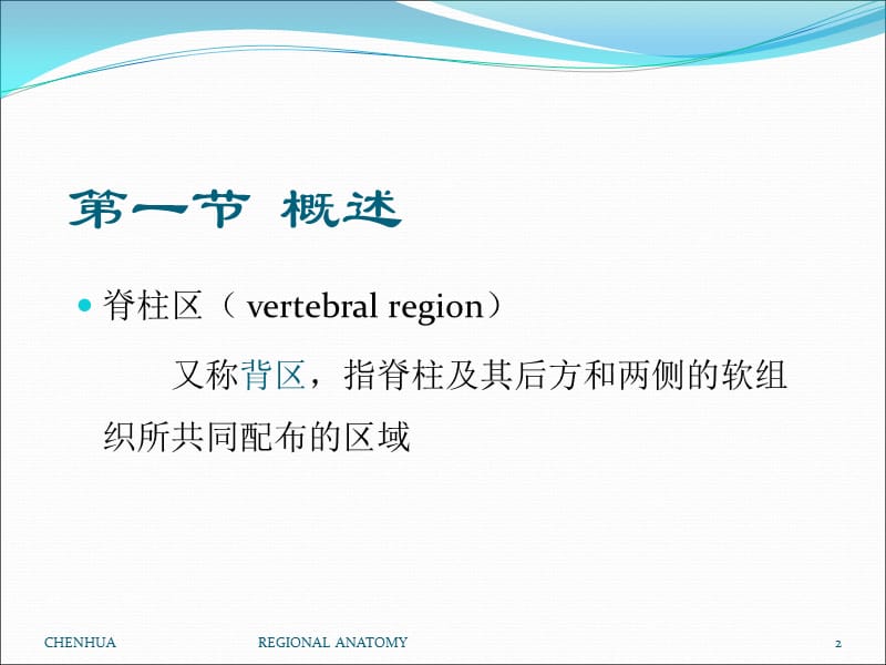 局部解剖学脊柱区ppt课件_第2页