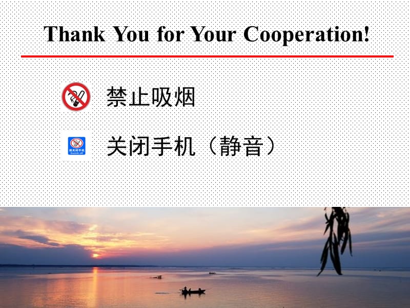 团队建设与素质教育.ppt_第2页