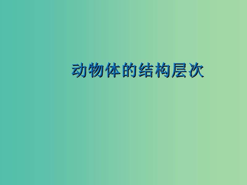 七年级生物上册 2.2.2 动物体的结构层次课件3 （新版）新人教版.ppt_第3页