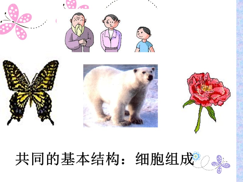 细胞的结构和功能.ppt_第2页