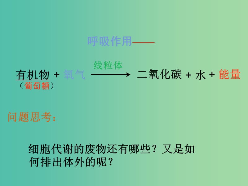 七年级生物下册 11.1《人体产生的代谢废物》课件 （新版）北师大版.ppt_第1页