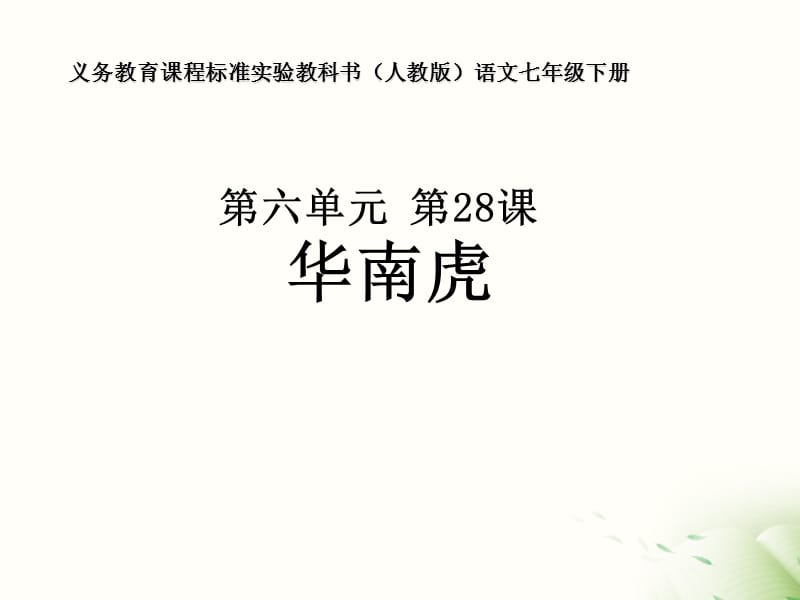 人教版语文七年级下册第六单元华南虎.ppt_第1页