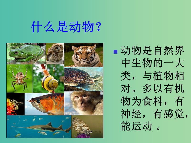 八年级生物上册 第5单元 第二节 千姿百态的动物世界课件 苏教版.ppt_第3页